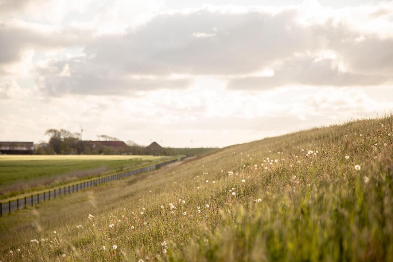多努姆Gulfhof Polder72 Polder72 5 Eger公寓 外观 照片